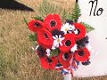 Iraq War Casualties Display-Celina, OH Iraq War Casualties Display-Celina, OH