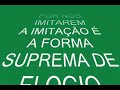 campeão estadual 2008: torcida do fluzão