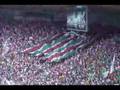 CAMPEÃO ESTADUAL 2008: TORCIDA DO FLUZÃO
