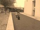 GT movie sjb