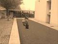 GT movie sjb