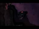 Zira- Good 'n' Evil