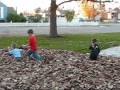 videos de Frolic in the Leaves