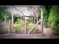 Nature - YouTube