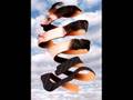 M.C. Escher Spoofs