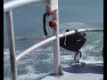 Self Rescue System