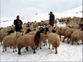 ilhan& bullur kaval ilhan& bullur kaval