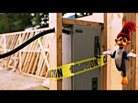 Woody=Woodpecker=Official=Trailer=#1 Movie Trailers HD