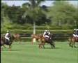 USPA Gold Cup Final 2007