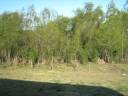 Mesopotamia,Entre Rios,Argentina,ruta 14,Cono Sur Mesopotamia,Entre Rios,Argentina,ruta 14,Cono Sur