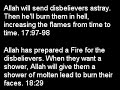 Censorship of peacefull Islam! Quotaions from the Qur\ Censorship of peacefull Islam! Quotaions from the Qur\