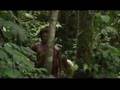 Papua New Guinea: Land of the Unexpected