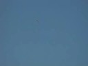 extra300s termic graupner