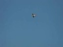 extra300s termic graupner