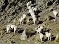 patagonia chilena sin represas