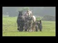 Click here to watch this video Percheron Mares muck spreading