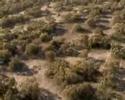 Barossa Helicopters