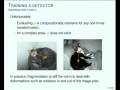Stationary Features and Cat Detection