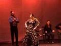 videos de Video sequence solea