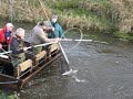 Elfiskeri i Arn�en 5