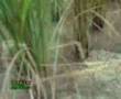 mna controlled irrigation 2