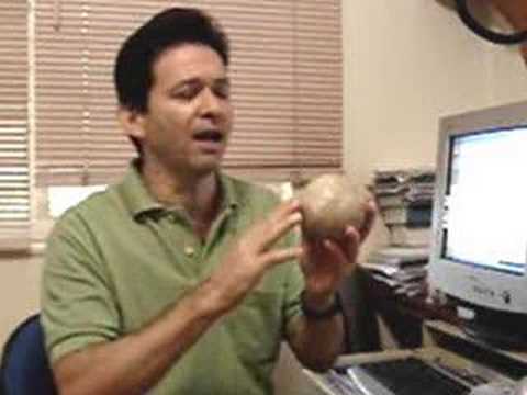 101 Tubarc - Climate Change and ...
