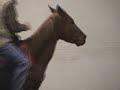 DJS Smart Cattlena Trained by Derek Freshour DJS Smart Cattlena Trained by Derek Freshour