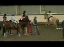 Showjumping clinic with Geoff Billington