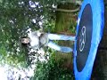 Elethea on trampoline