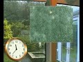 Pilkington Activ™ Self-Cleaning Glass