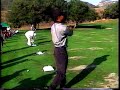 Eye of the Tiger Woods - 4-Iron