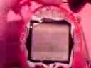 tamagotchi familitchi v5 tamagotchi familitchi v5