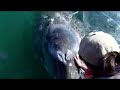 Whale Touching in Baja Mexico