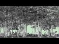 La Géomatique Pour Une Gestion Durable Des Forêts