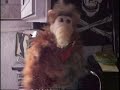 magic funny trick clip magic funny trick clip