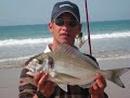 RAUL DORADAS FOTOS PESCA , SURFCASTING , PLAYA ,ORATA