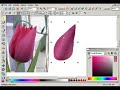 Flower Petals in Xara Xtreme
