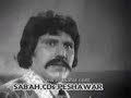 pollywood lollywood bollywood pukhtu pakhtu pushto irani persian iran hindi india afghan afghani hewad watan film actor