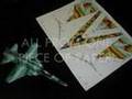 F-5 Aggressor Paper Airplane