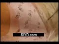 HOT-TEEN-STRIP-SEXY-