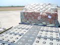 Lan Cargo ground handling and dispatch Lan Cargo ground handling and dispatch