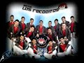 Los RecODitOs  -  Aunque sea por telefono