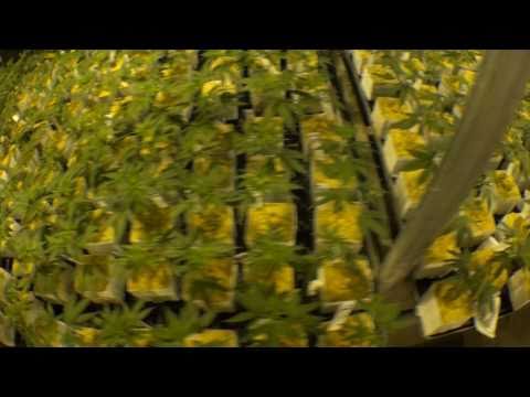Schneiden   Hottaflex Is Proud To Show U A Video Produced For Hanf