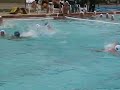 stupid polo fight...