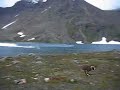 Genji Running Around Rabbit Lake