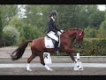Holsteins Wellness - For Sale