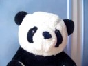 LIBEREZ LES PANDAS