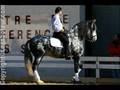L'équitation