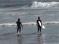 Venice Beach surfers