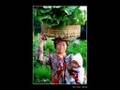IBU - a tribute to mothers around the world